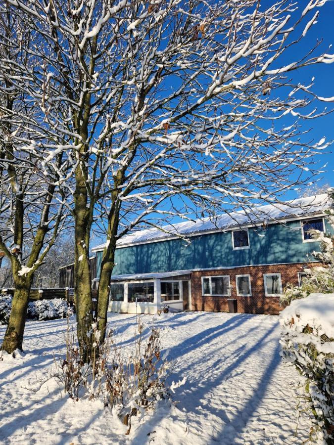 Ferienwohnung Sort Sol Grellsbuelldeich 7 Aventoft 외부 사진