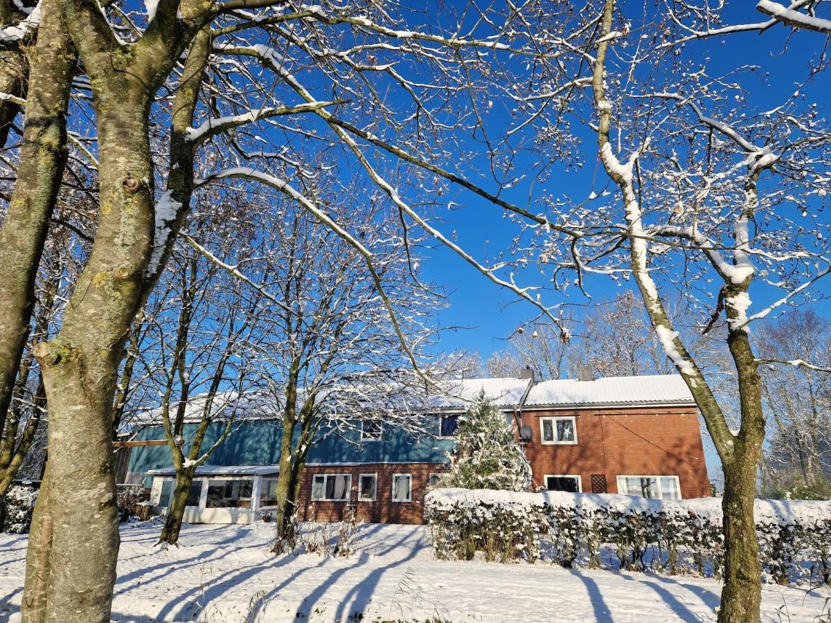 Ferienwohnung Sort Sol Grellsbuelldeich 7 Aventoft 외부 사진