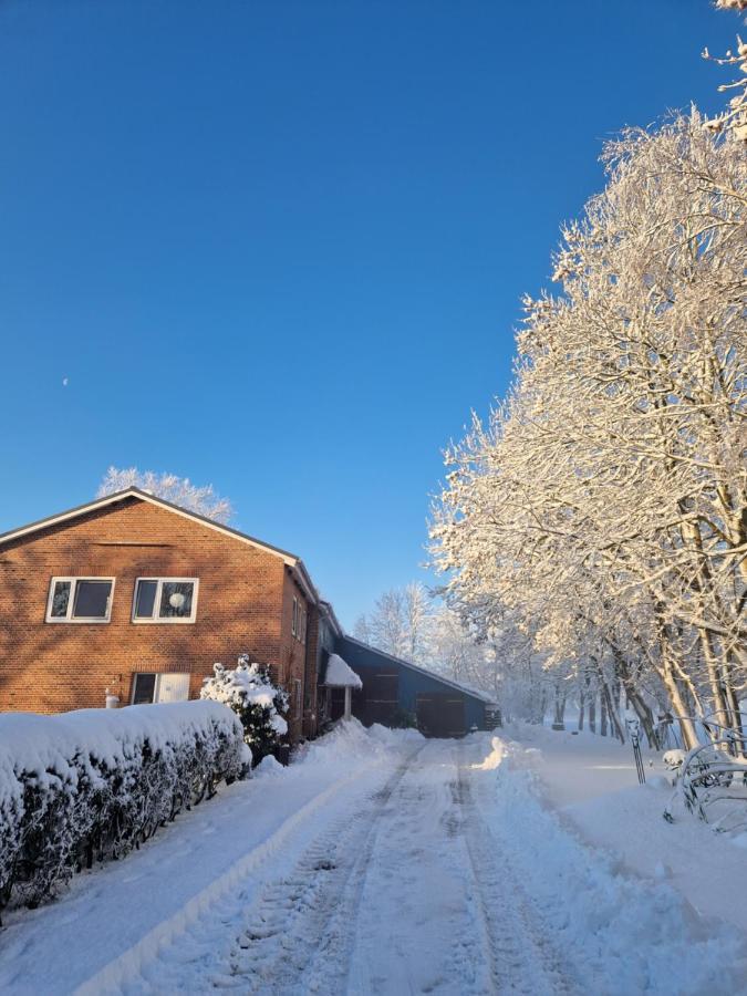Ferienwohnung Sort Sol Grellsbuelldeich 7 Aventoft 외부 사진