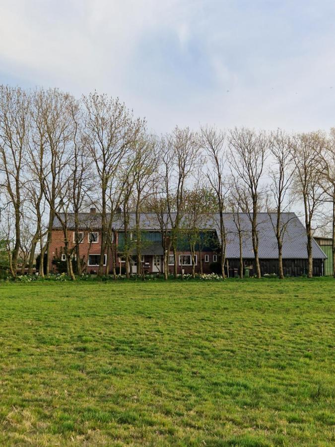 Ferienwohnung Sort Sol Grellsbuelldeich 7 Aventoft 외부 사진